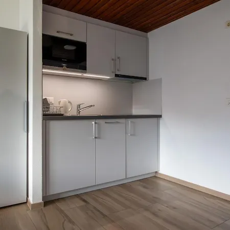 公寓 Appartementhaus Zurschmitten 8 By Interhome