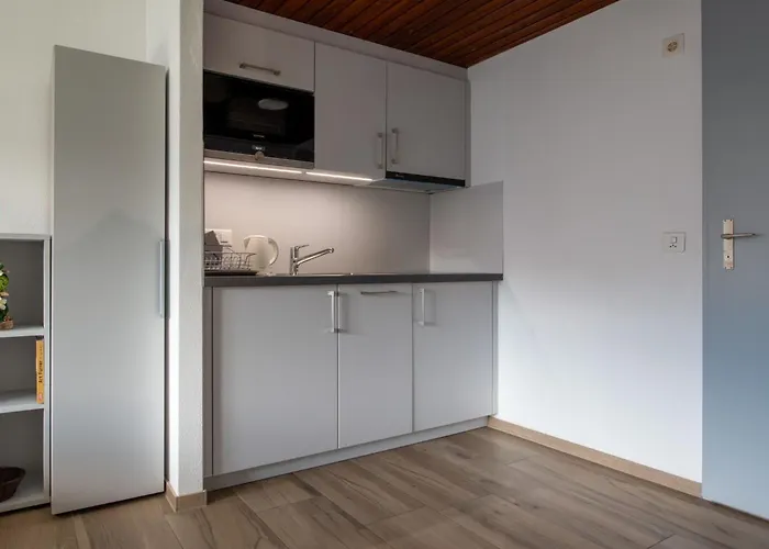 Apartmán Zurschmitten 8 2- Ug Sued By Interhome